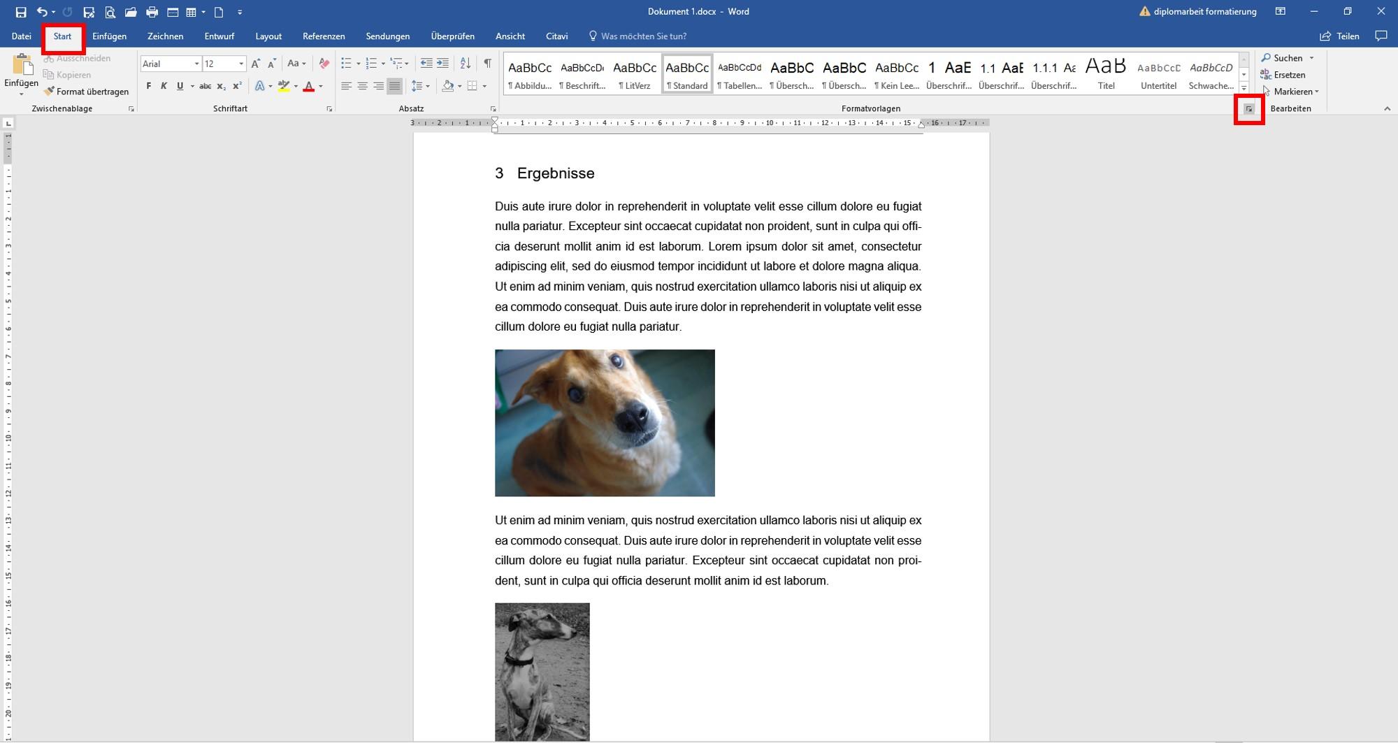 Formatvorlage_Abbildung1 Abbildungen formatieren