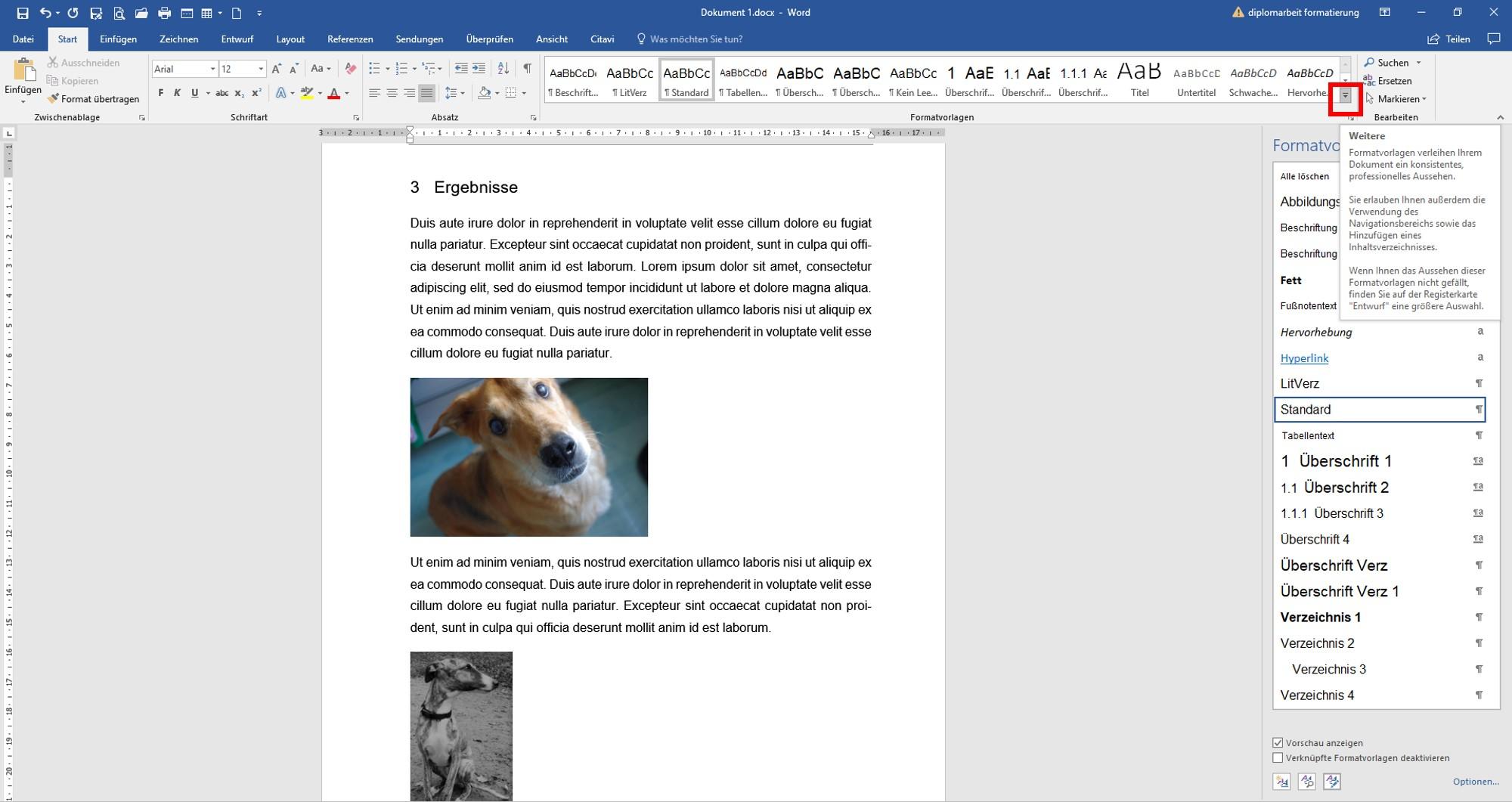 Formatvorlage_Abbildung2 Abbildungen formatieren
