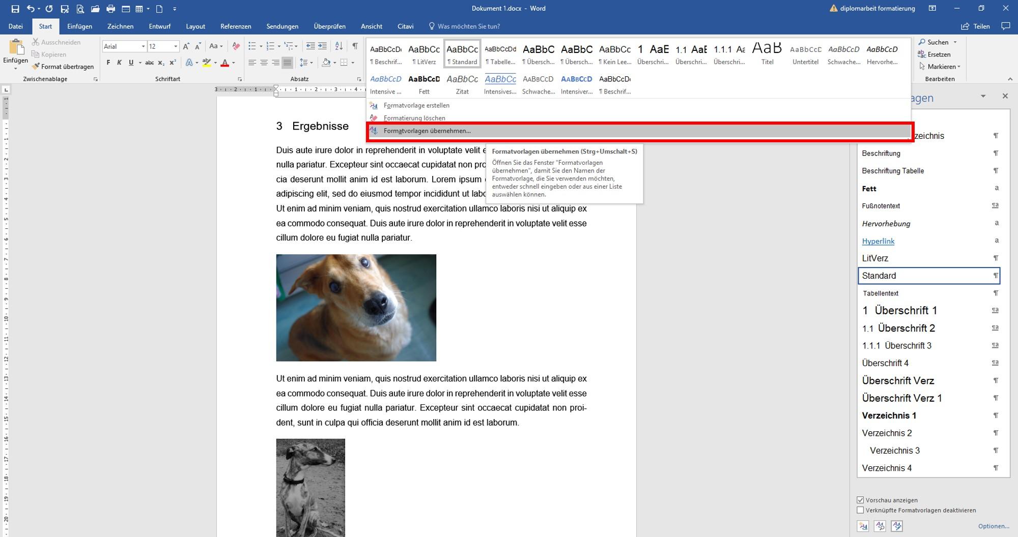Formatvorlage_Abbildung3a Abbildungen formatieren