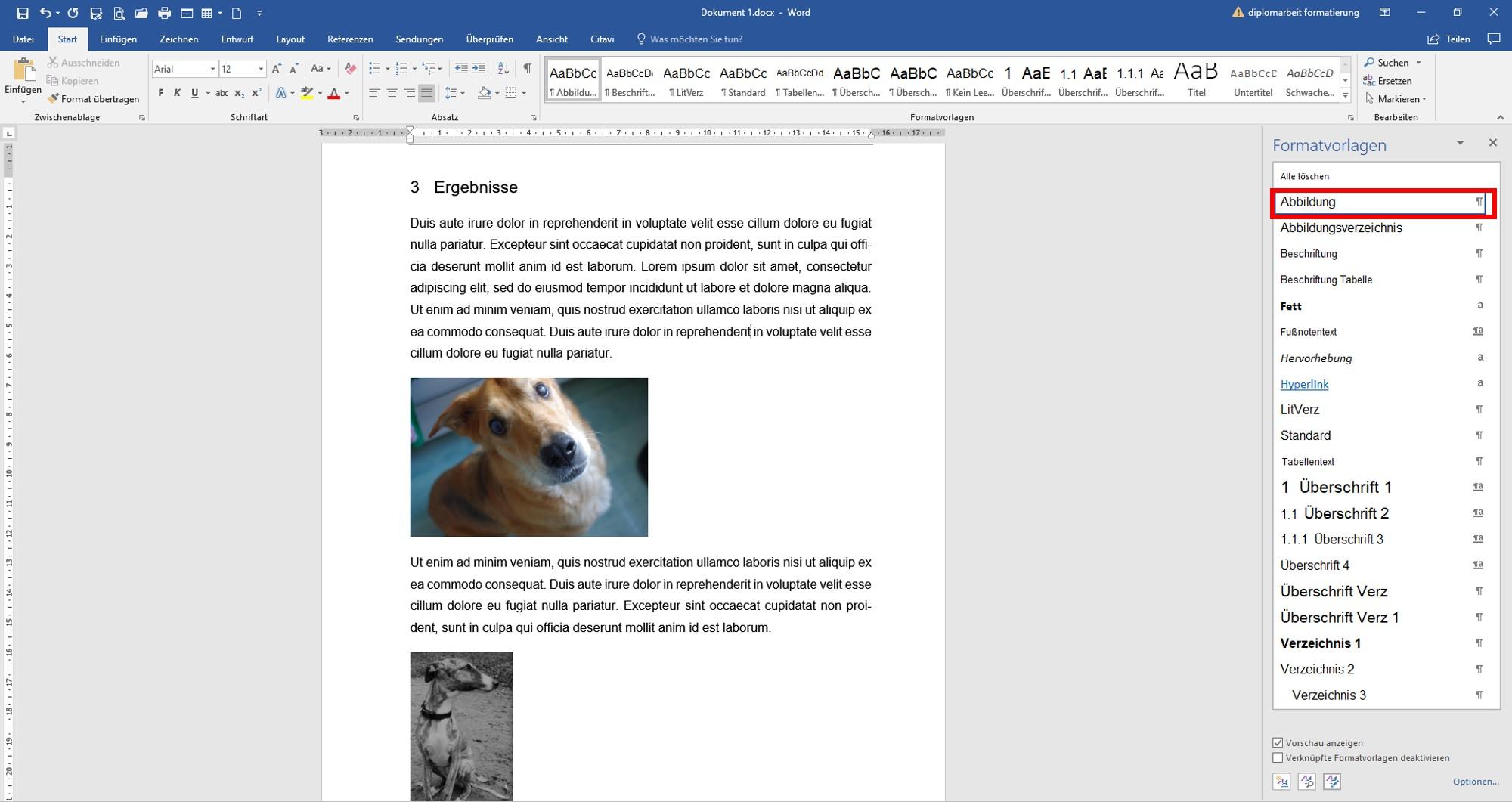 Formatvorlage_Abbildung5 Abbildungen formatieren