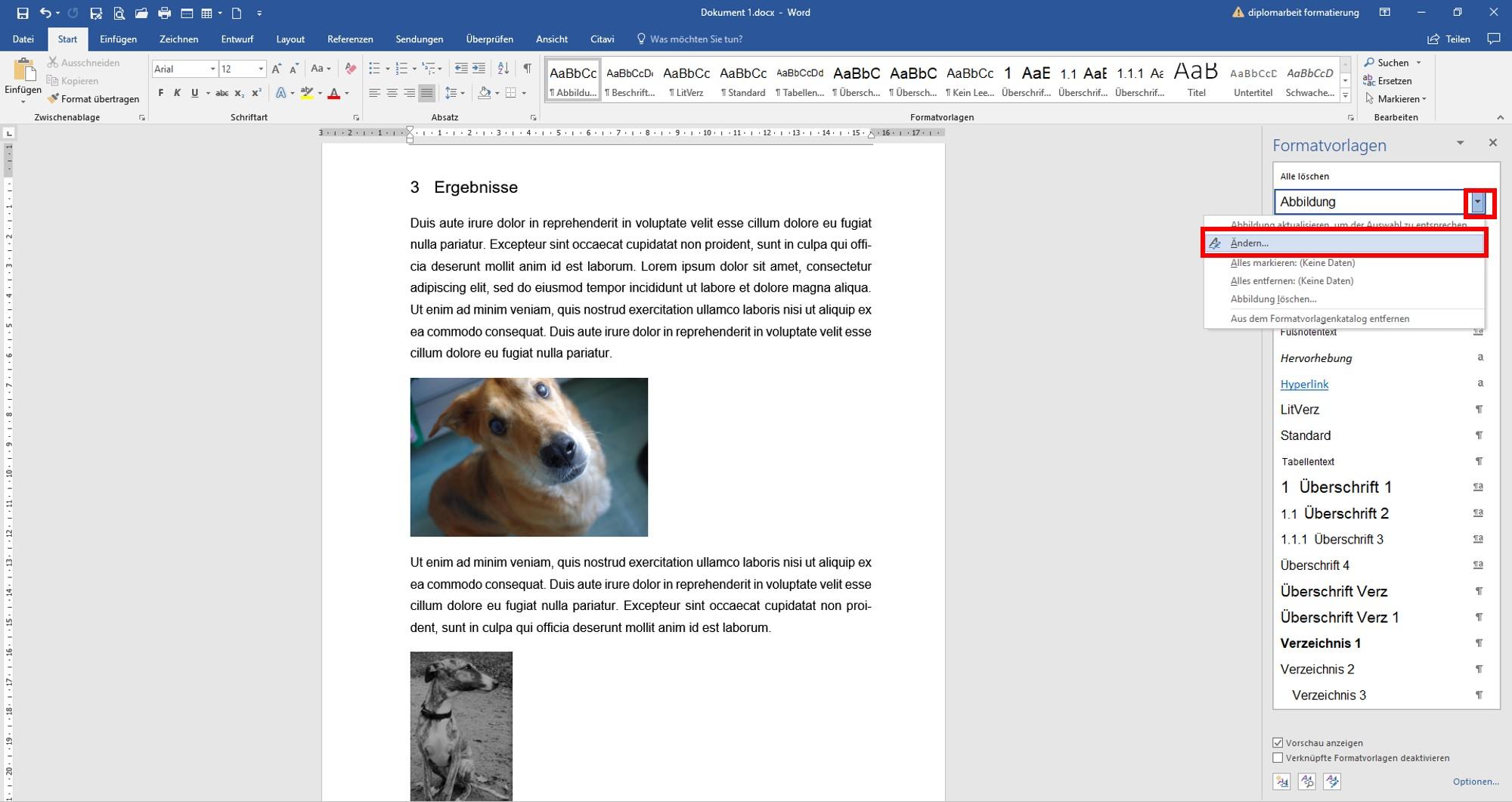 Formatvorlage_Abbildung6a Abbildungen formatieren