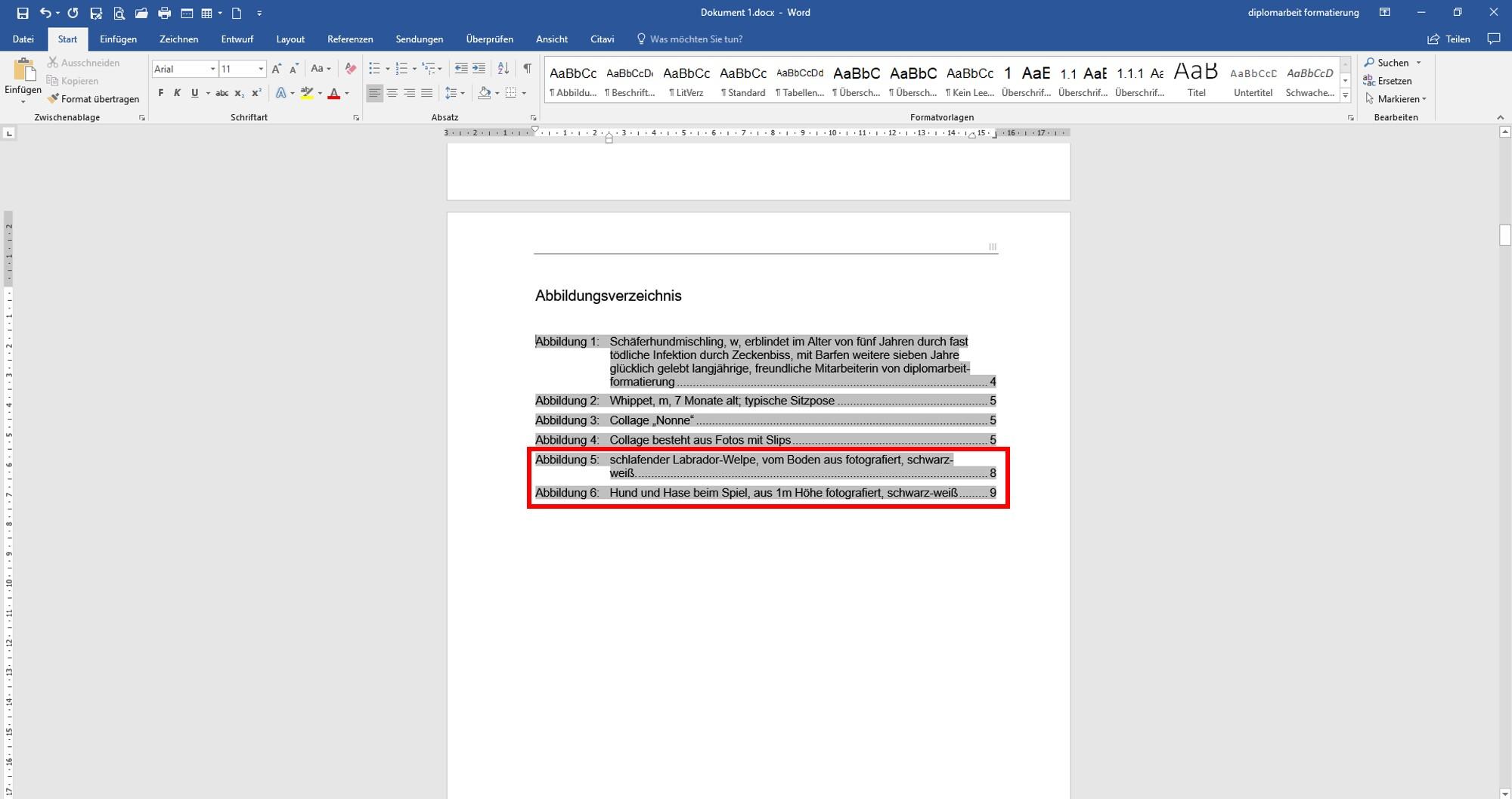 Abbildungsverzeichis_aktualisieren3 image Abbildungsverzeichis_aktualisieren3 Abbildungsverzeichnis aktualisieren