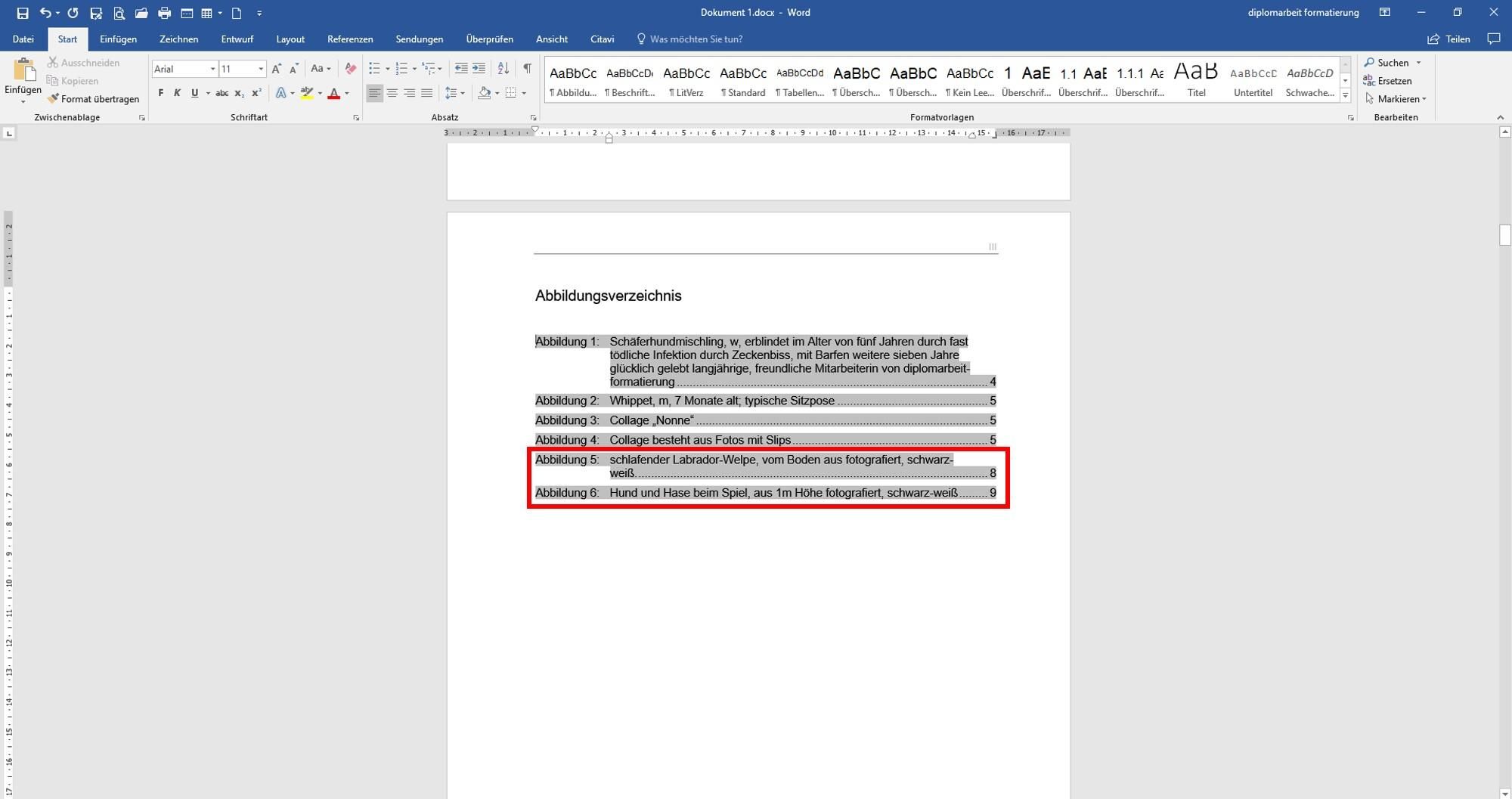 Abbildungsverzeichis_aktualisieren3-0503c1e7 Abbildungsverzeichnis aktualisieren