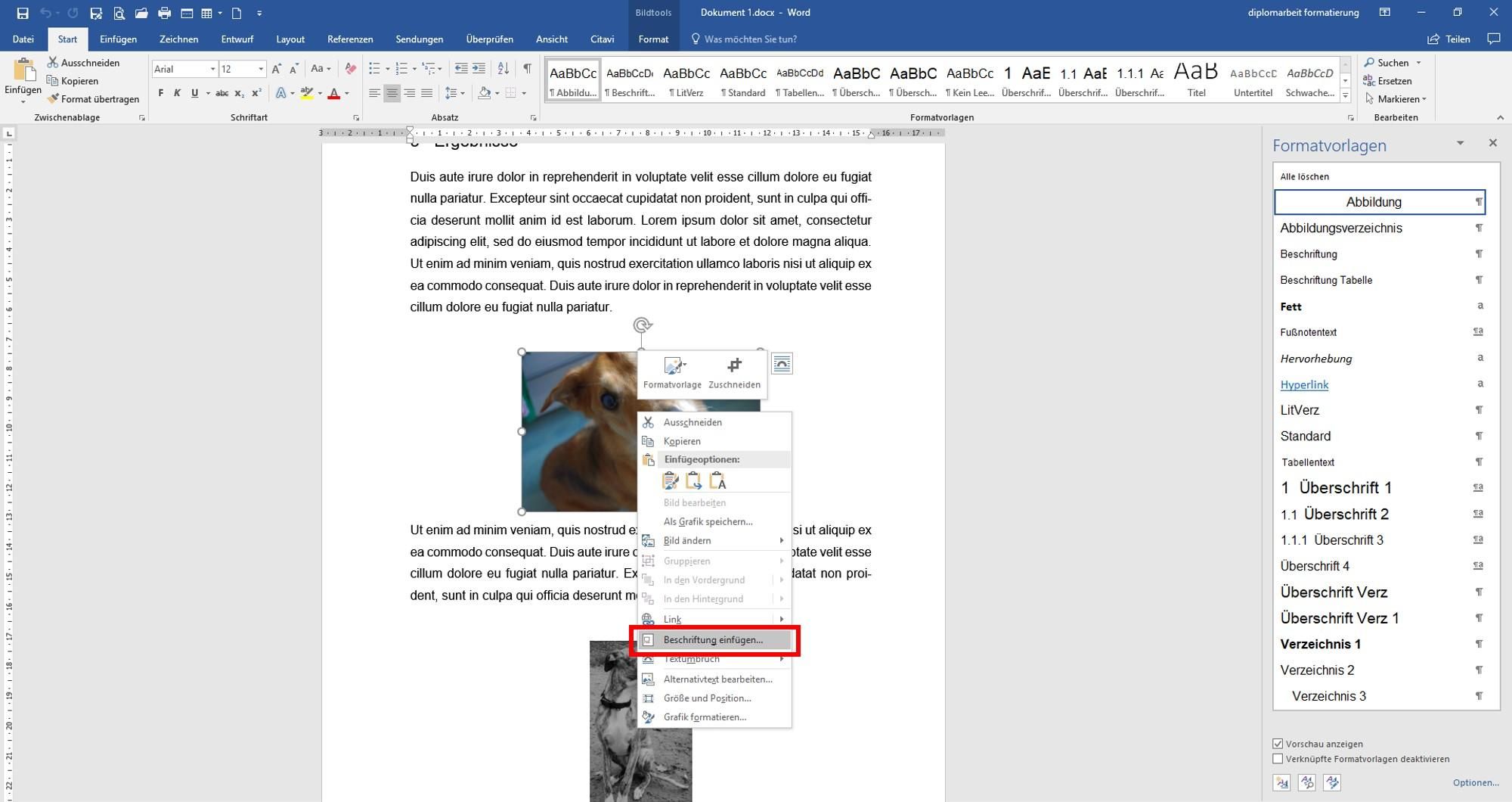 Abbildung_nummerieren1-183bf9c2 image
