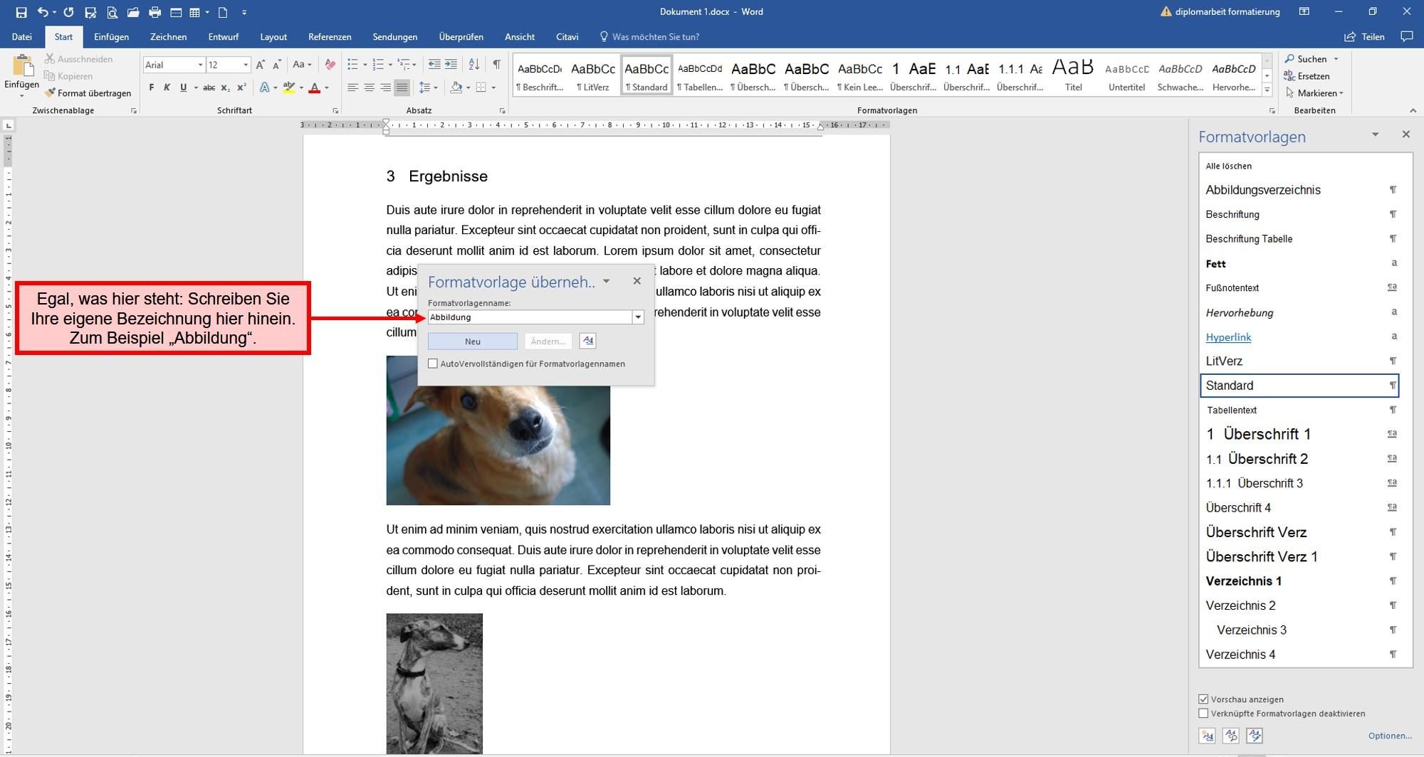 Formatvorlage_Abbildung4-9ade61af Abbildungen formatieren
