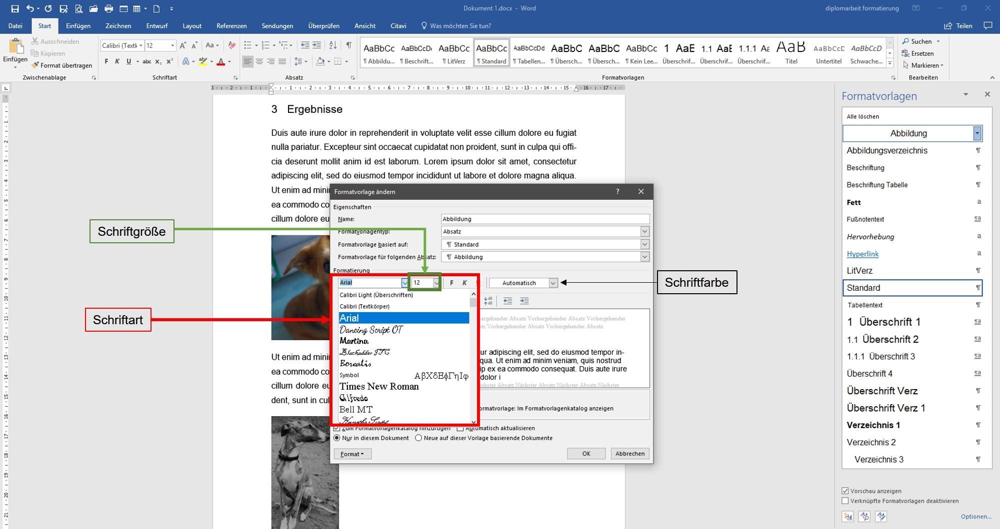 Formatvorlage_Abbildung7a-ae0bad17 Abbildungen formatieren