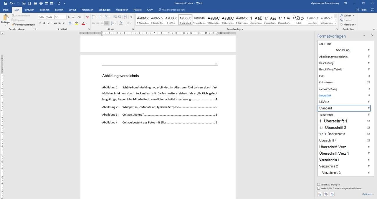 Abbildungsverzeichnis_erstellen4-e891c92c image Abbildungsverzeichnis Word erstellt